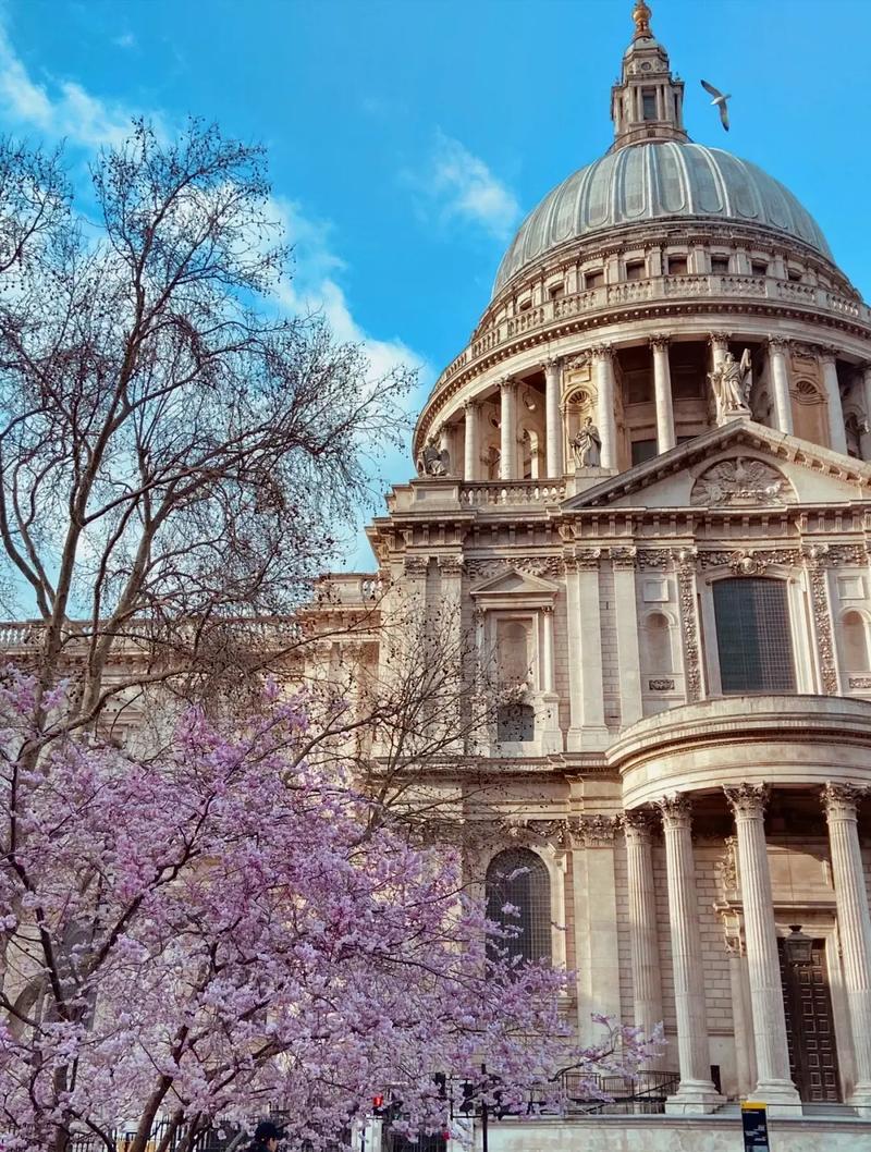 密歇根州立大学